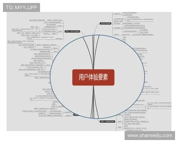 开云网站的设计与布局分析，提升用户体验的核心要素