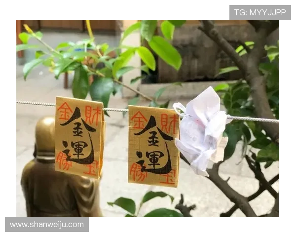 开运国际入口开启你的好运大门打造属于你的幸福生活